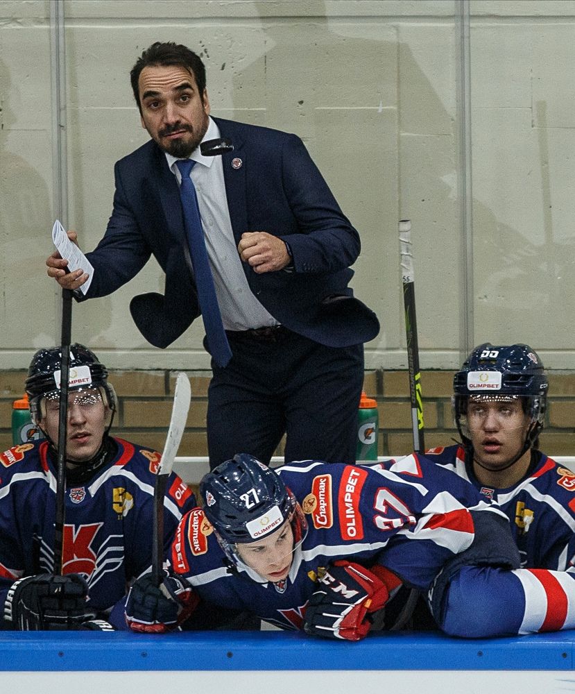 Полет шайбы