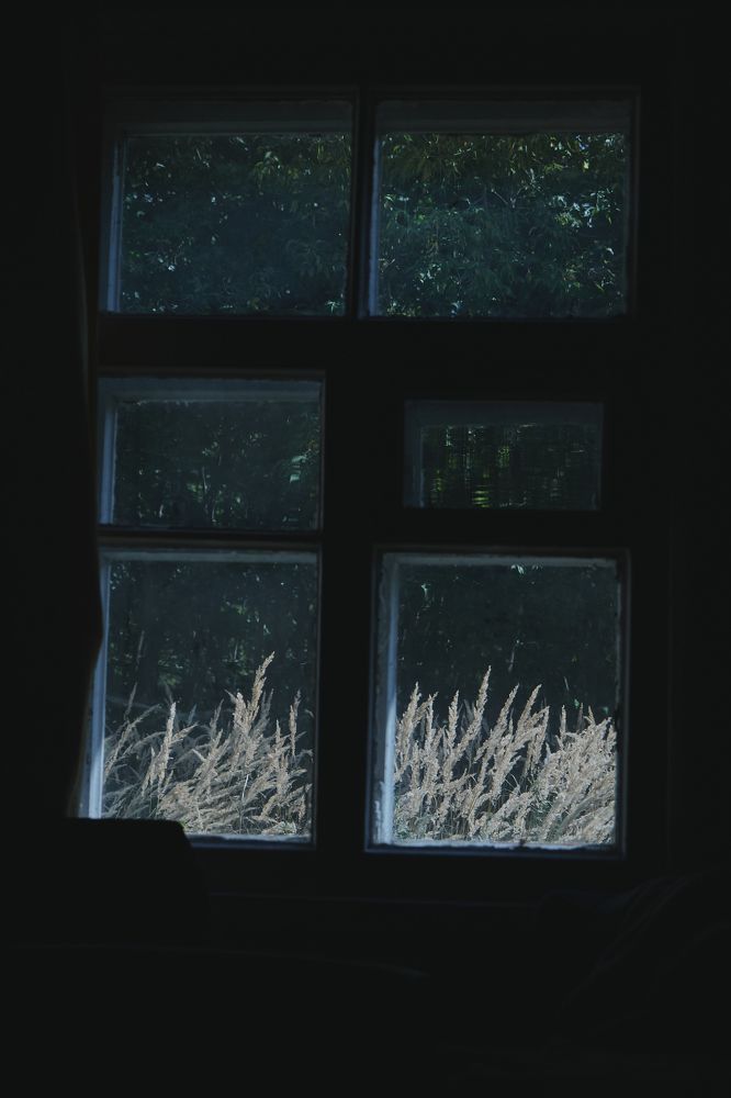 Photograph by Виктория Колышева