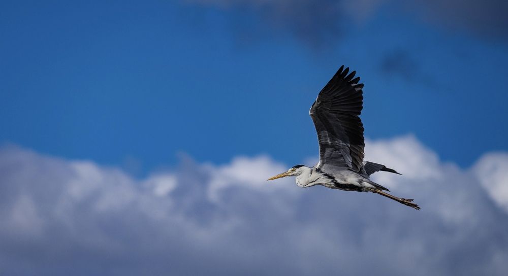 Photograph by Антон Дроздов