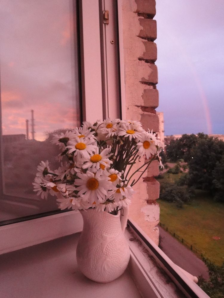 Фотография автора Анастасия Зверева