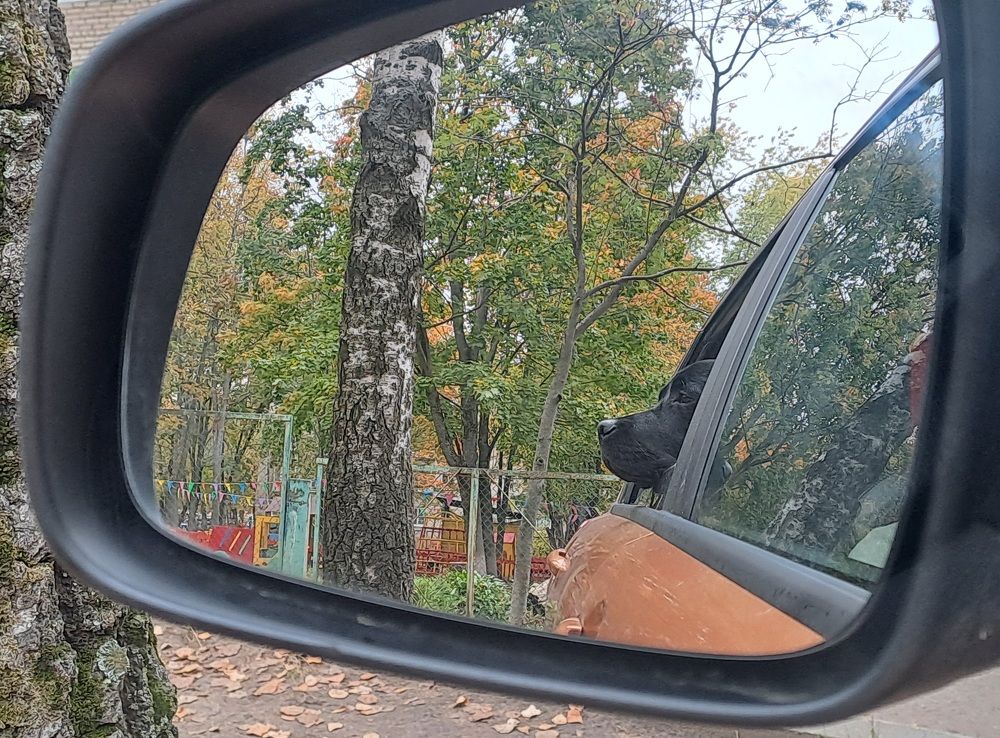 Photograph by Виктория Колышева