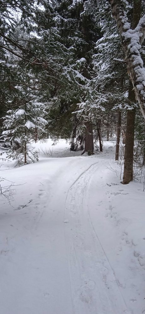 Photograph by Наталья Сорокина