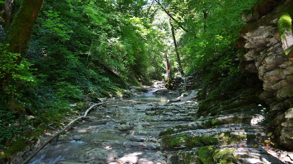 Photograph by Владимир Коровин