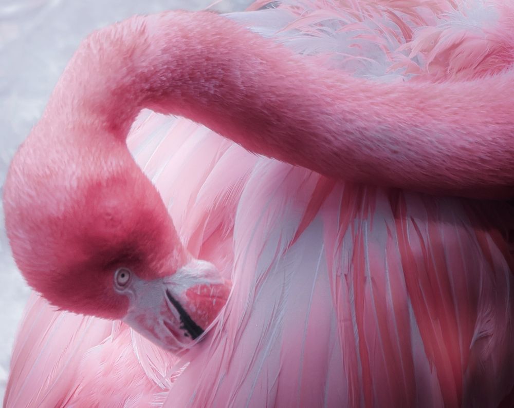 Photograph by Eva Wiedemann