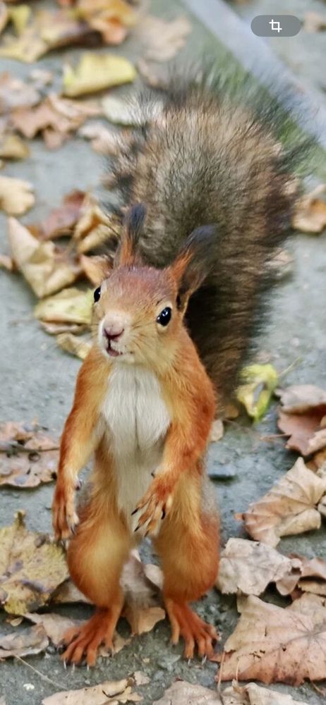 Photograph by Ирина Швейнова