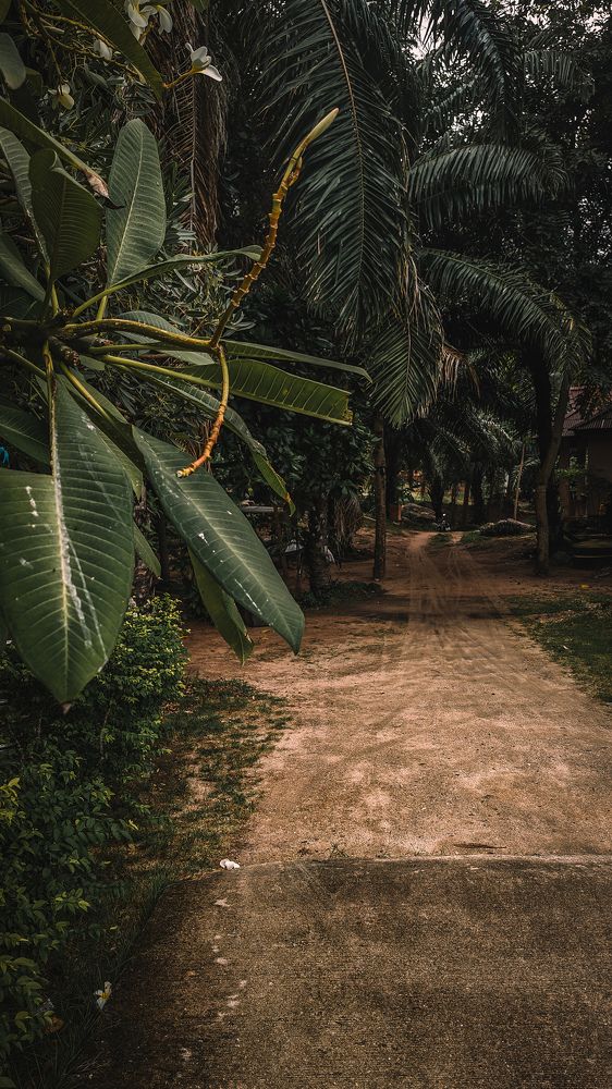 Photograph by Ксения Супрун