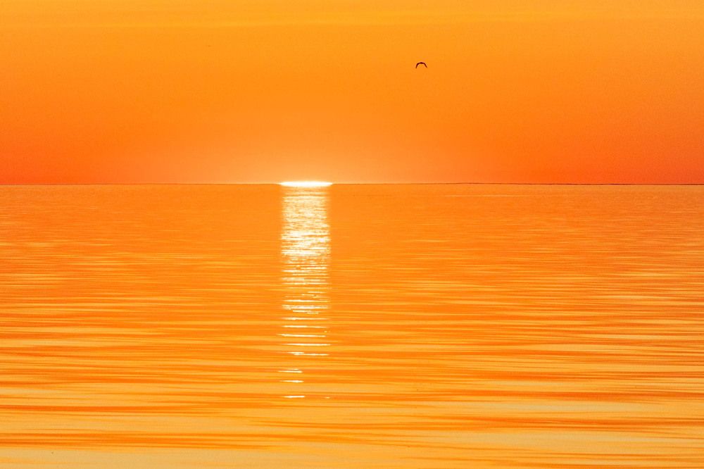 Фотография автора Van Gross