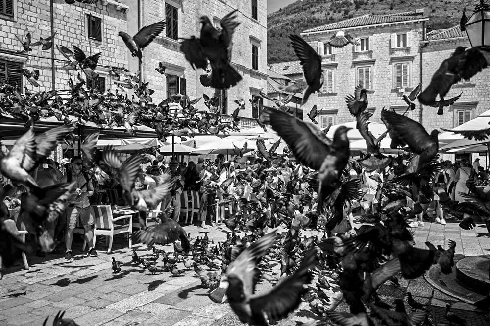 Фотография автора Берлиоз Бегемот