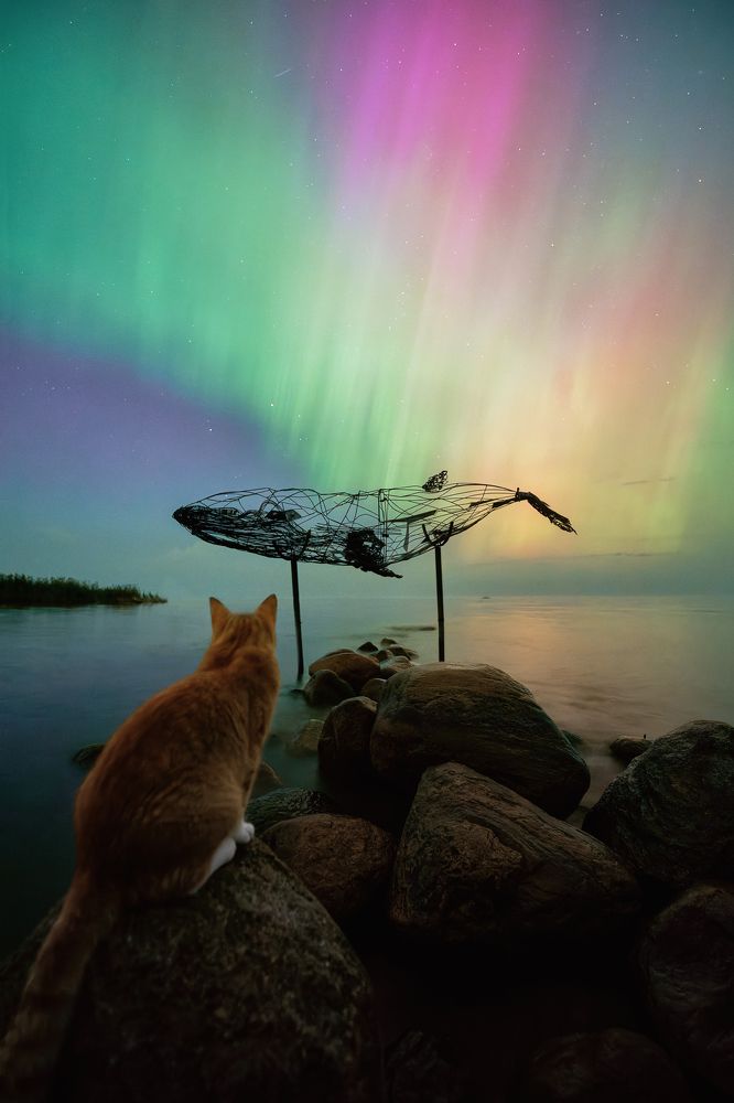 Photograph by Чехонин Александр