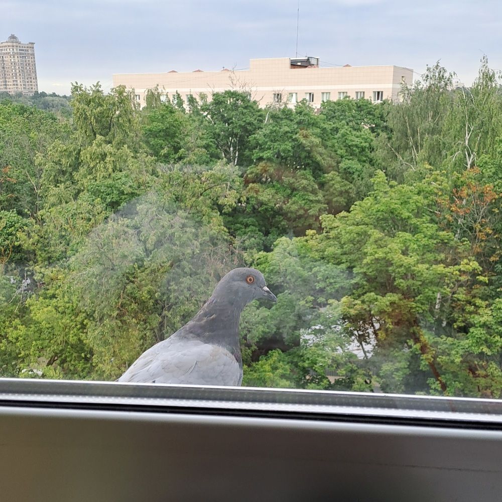 Photograph by Виктория Колышева