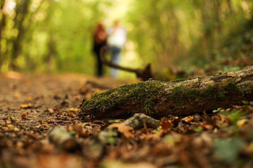 Photograph by Алексей Шевцов