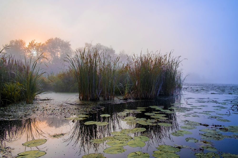 Photograph by Александр Строков