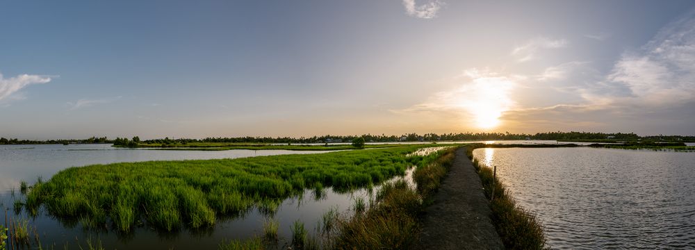 Фотография автора Devanand K S