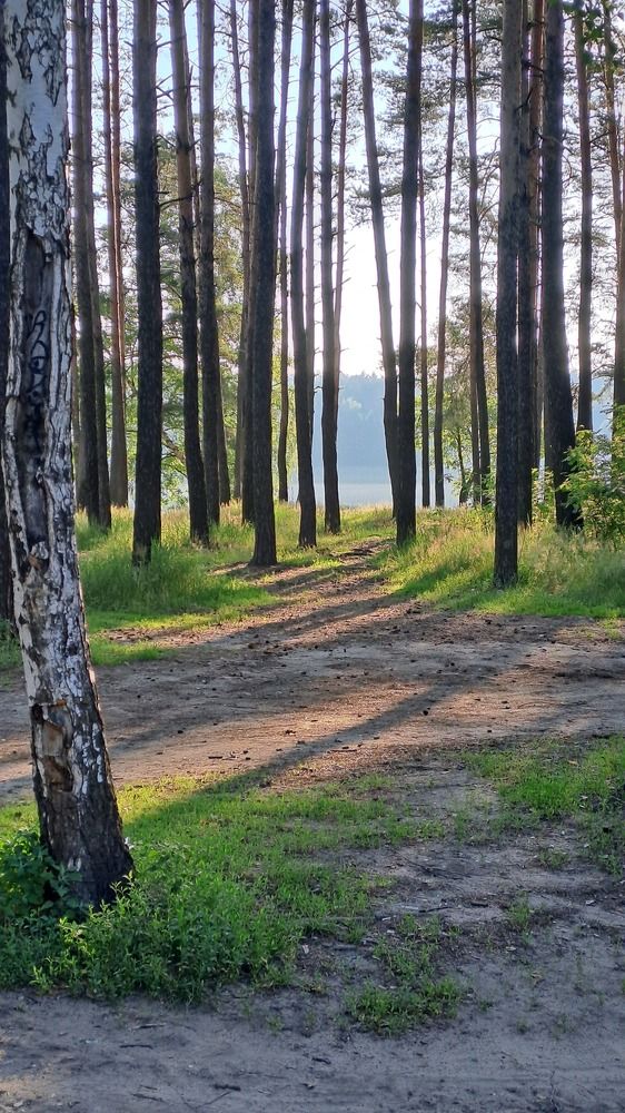 Photograph by Виктория Колышева
