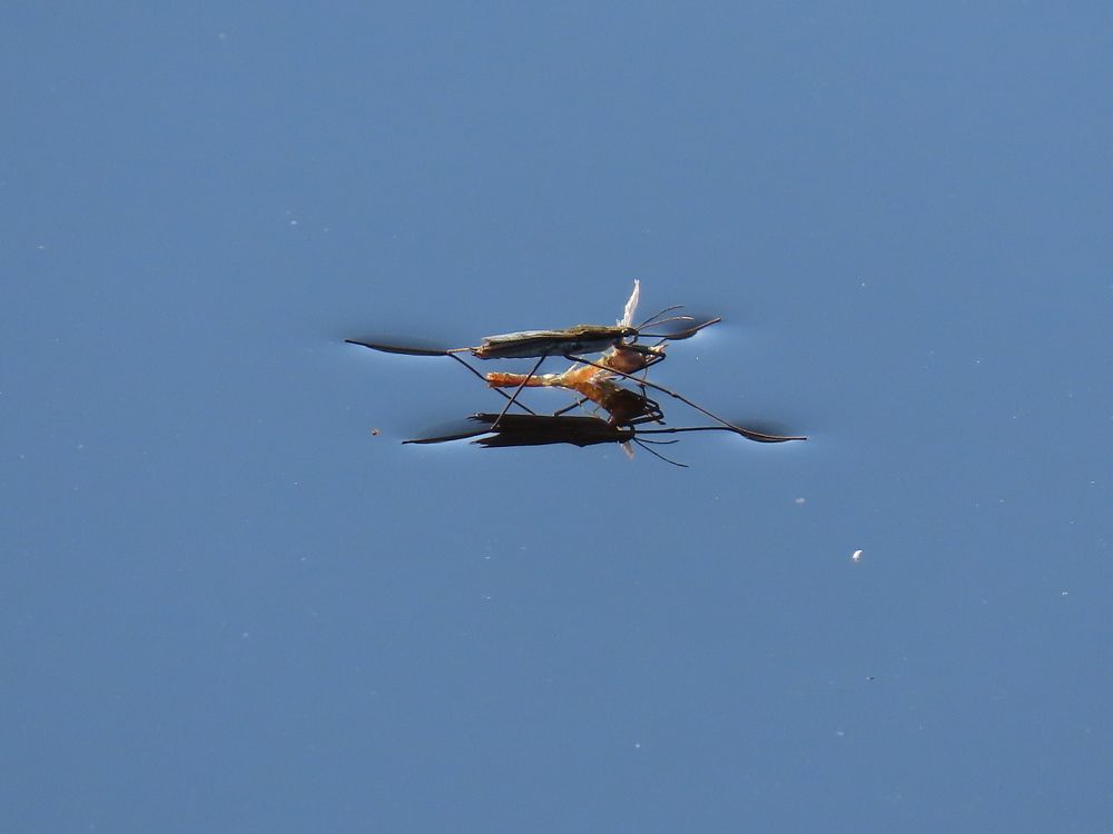 Photograph by Светлана Башаева