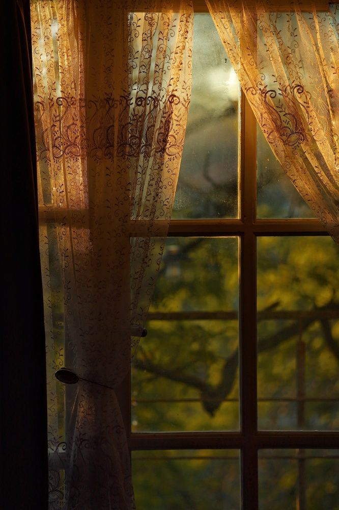 Фотография автора Мария Стратан