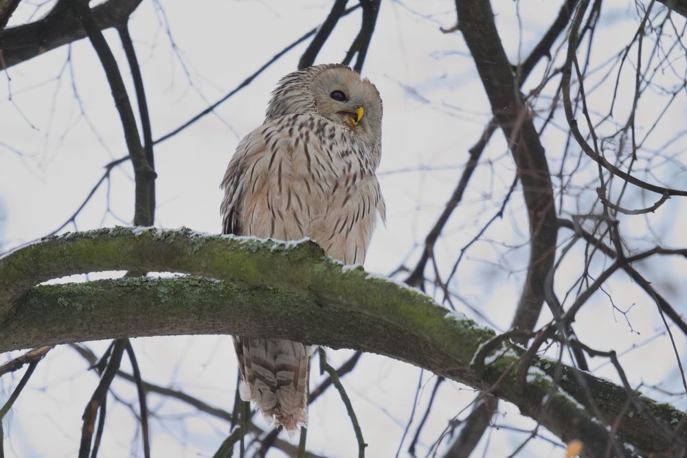 Photograph by Ольга Якубова