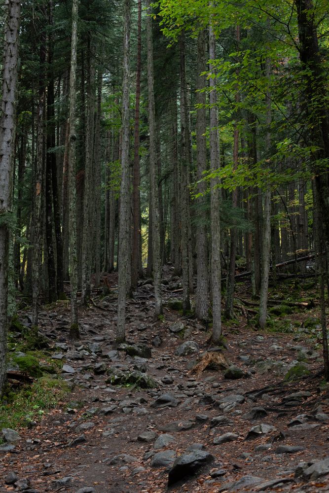 Photograph by Оксана Смирнова