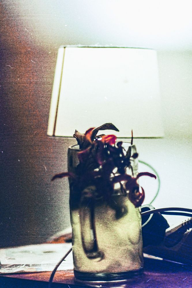 Фотография автора Берлиоз Бегемот