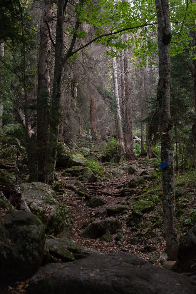 Photograph by Оксана Смирнова