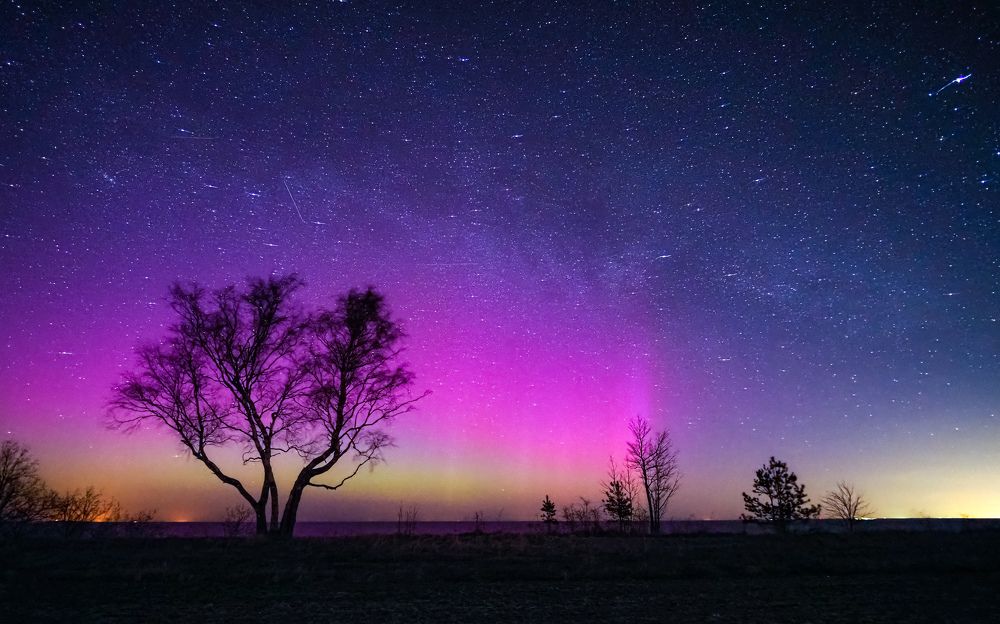 Photograph by Olga Link