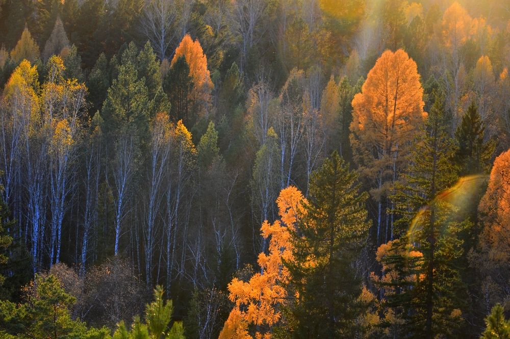 Photograph by Nadezhda