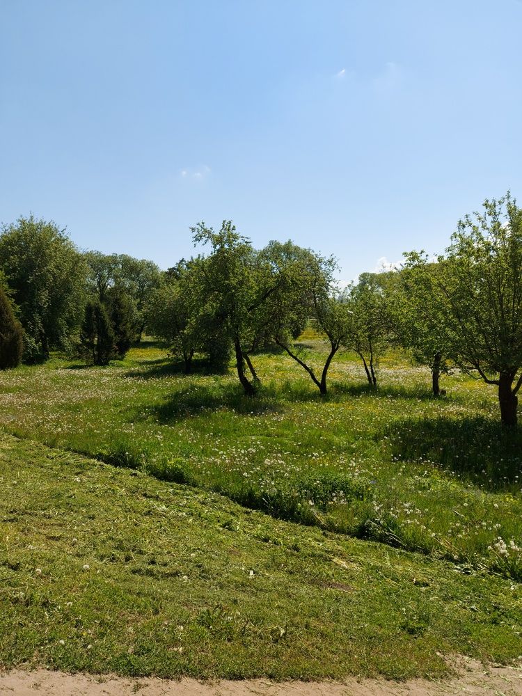 Photograph by ЭЛЬМИРА  ИСМАИЛОВА