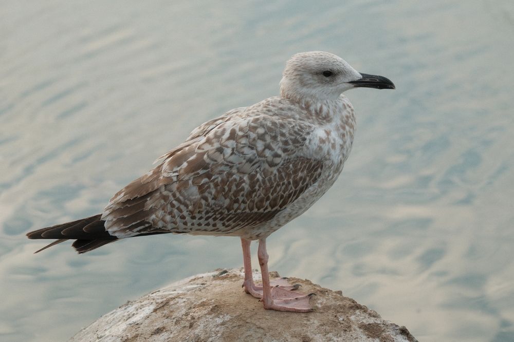 Photograph by Артём BEPTYXA359