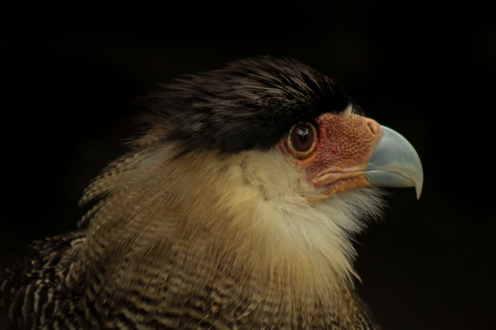 Photograph by Ricardo Venerando