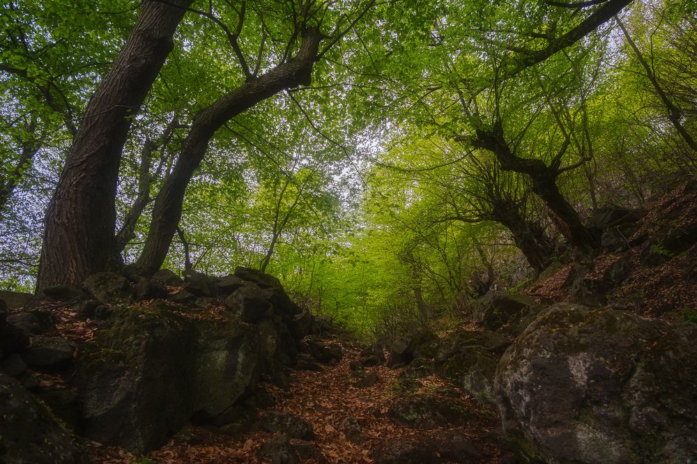 Photograph by Samvel Sargsyan