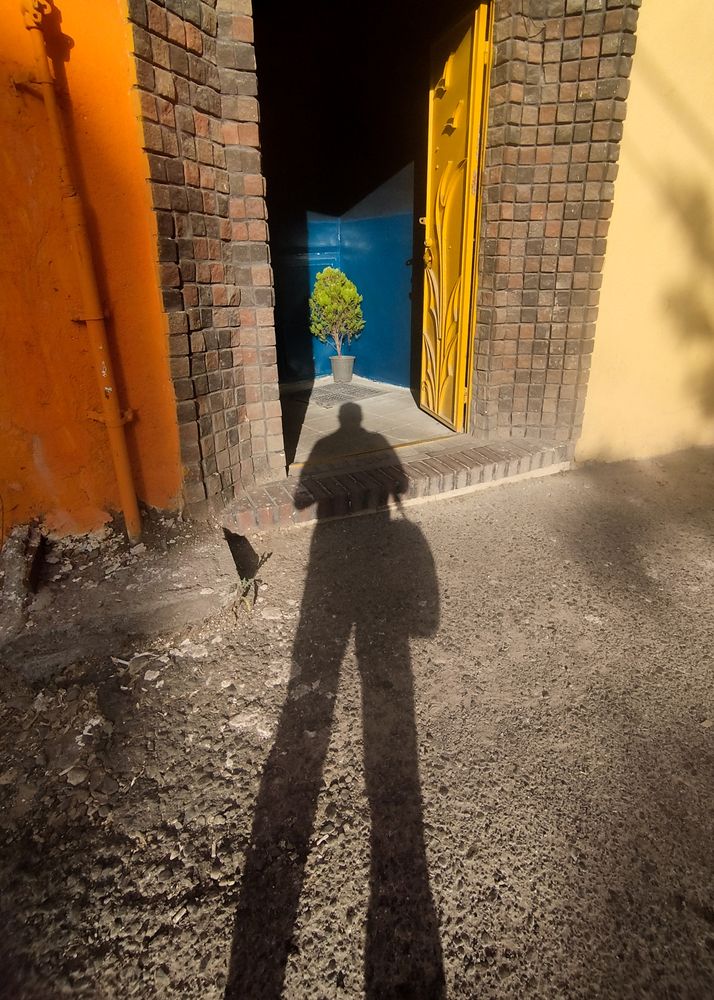 Photograph by Bavehie Farbod