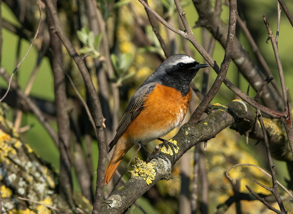 Photograph by Артем Кузнецов