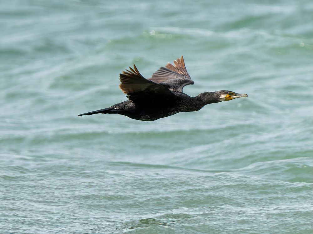 Photograph by Артем Кузнецов