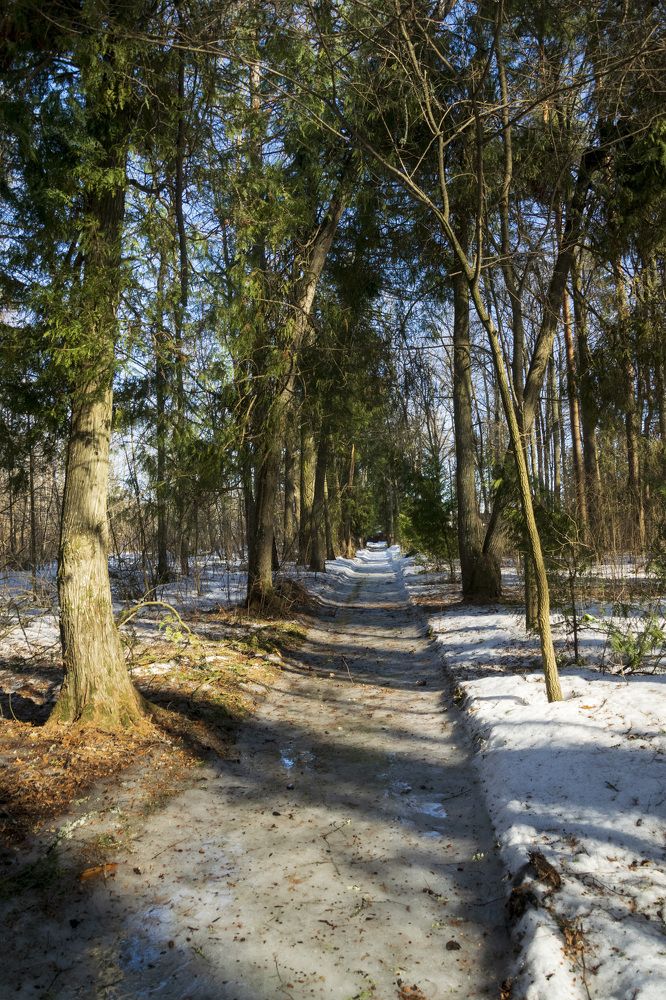 Photograph by Лилия Кондратьева