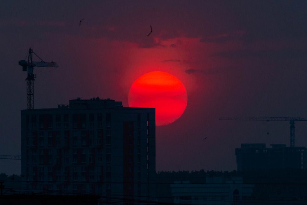 Photograph by Анастасия Глазюк