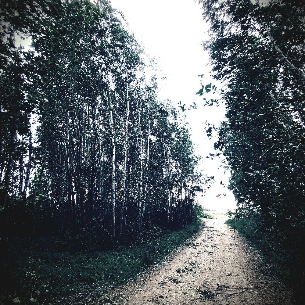 Фотография автора Maks Lanister