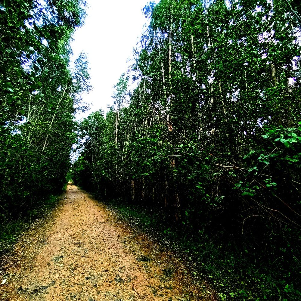 Фотография автора Maks Lanister