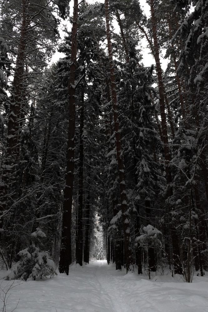 Photograph by Галина Эмберг