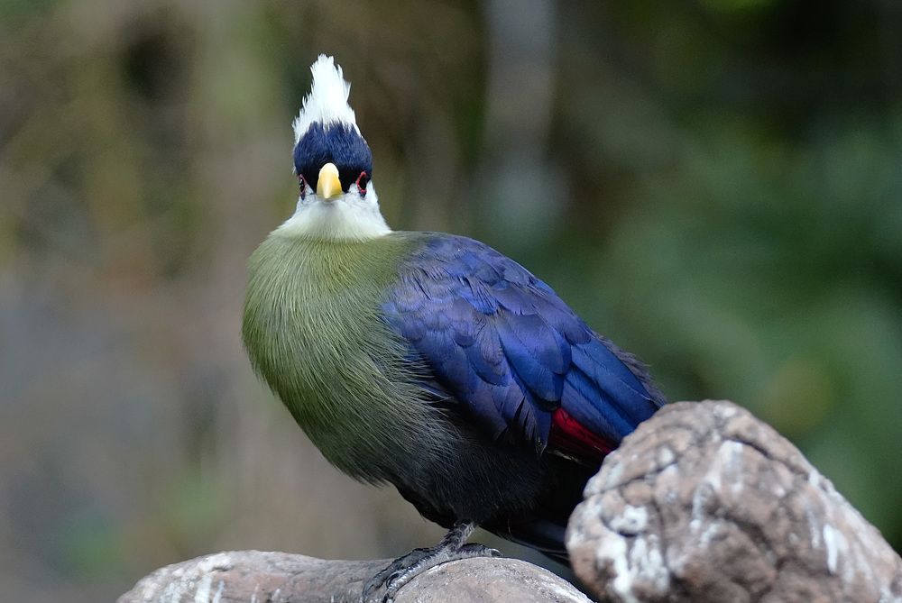 Photograph by Raed Victor Saad