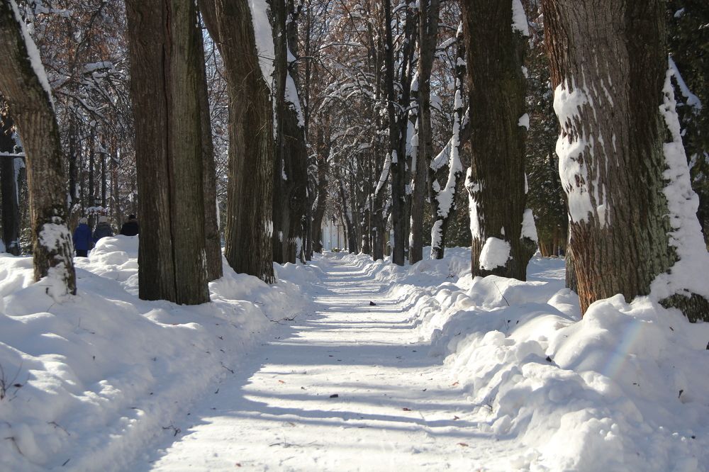 Photograph by KOREYSHA ILYA