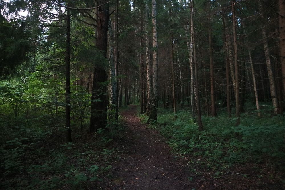 Photograph by KOREYSHA ILYA