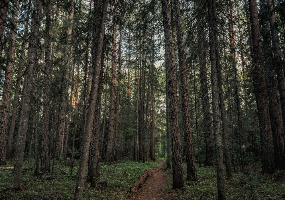 Photograph by Vladislav Trushkov