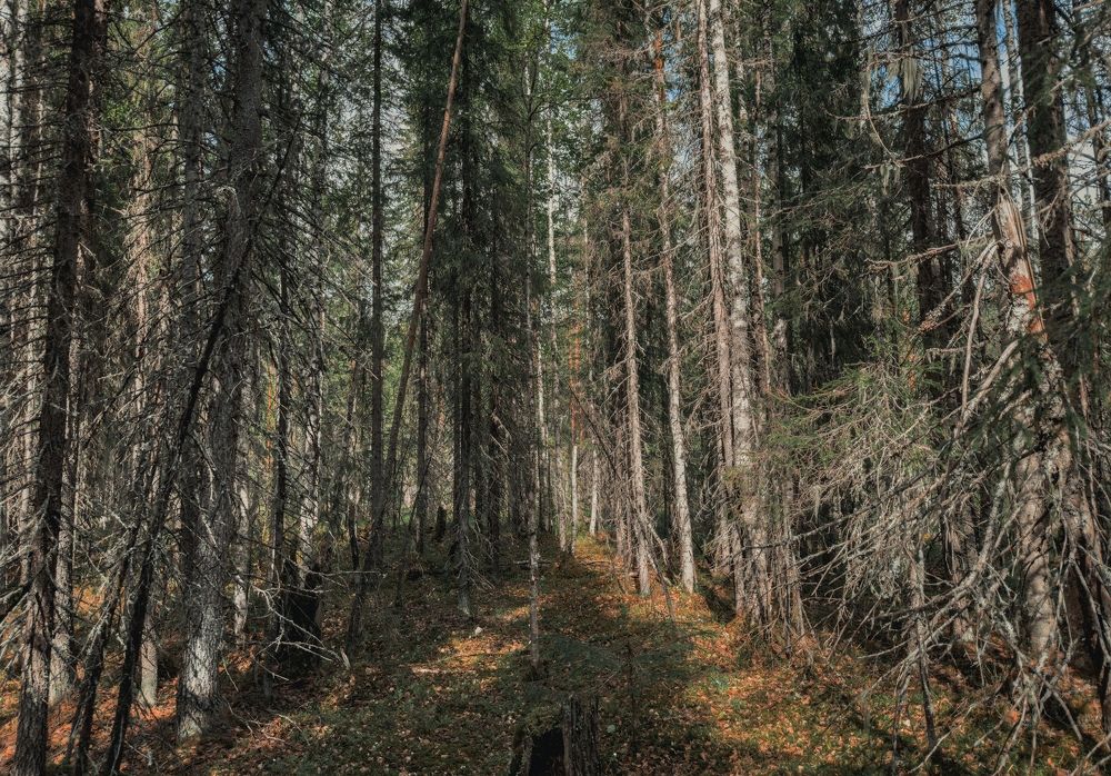 Photograph by Vladislav Trushkov