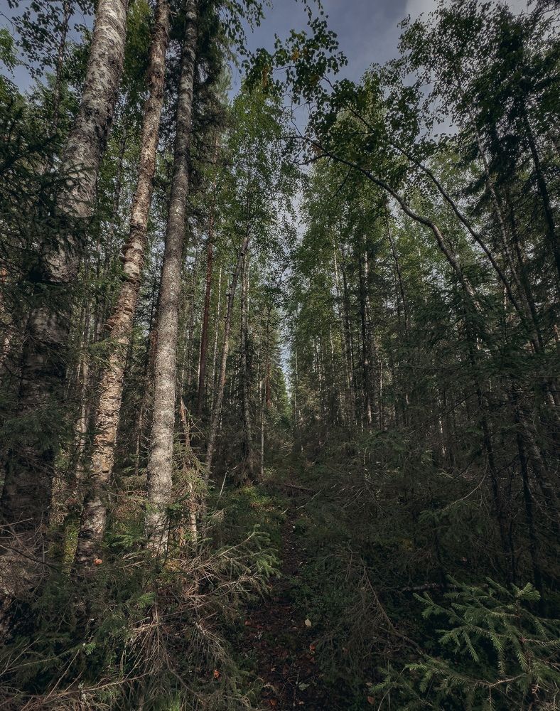 Photograph by Vladislav Trushkov