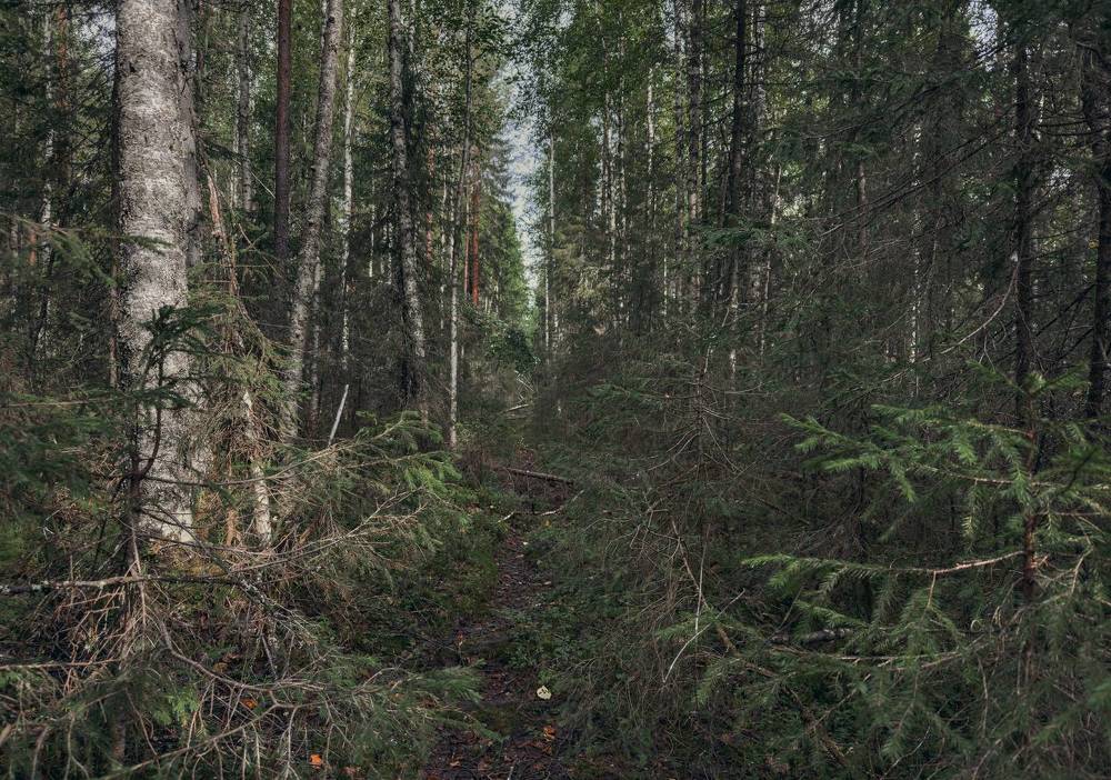 Photograph by Vladislav Trushkov