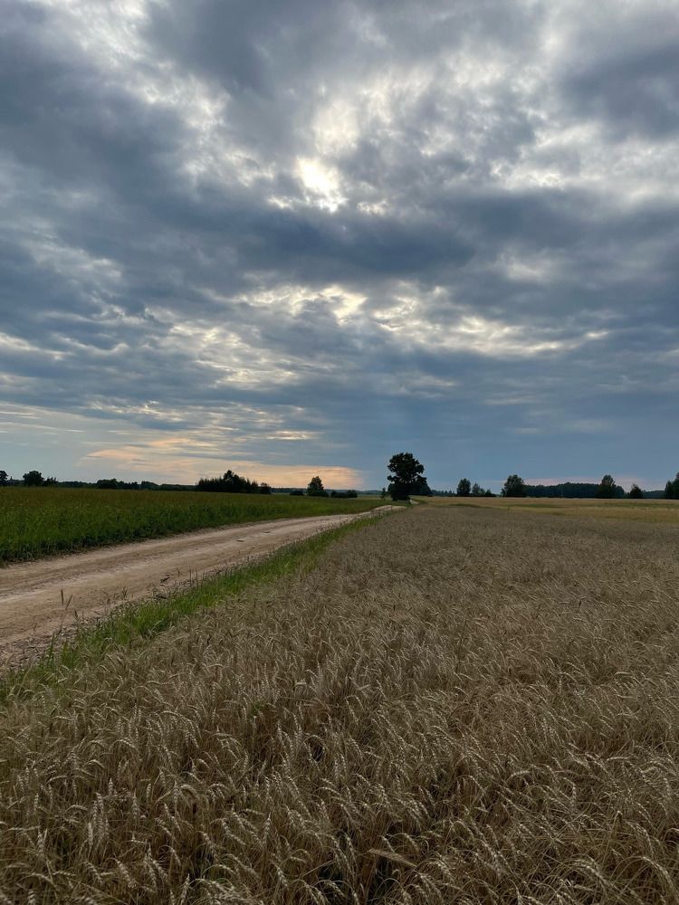 Photograph by Лариса Белашова