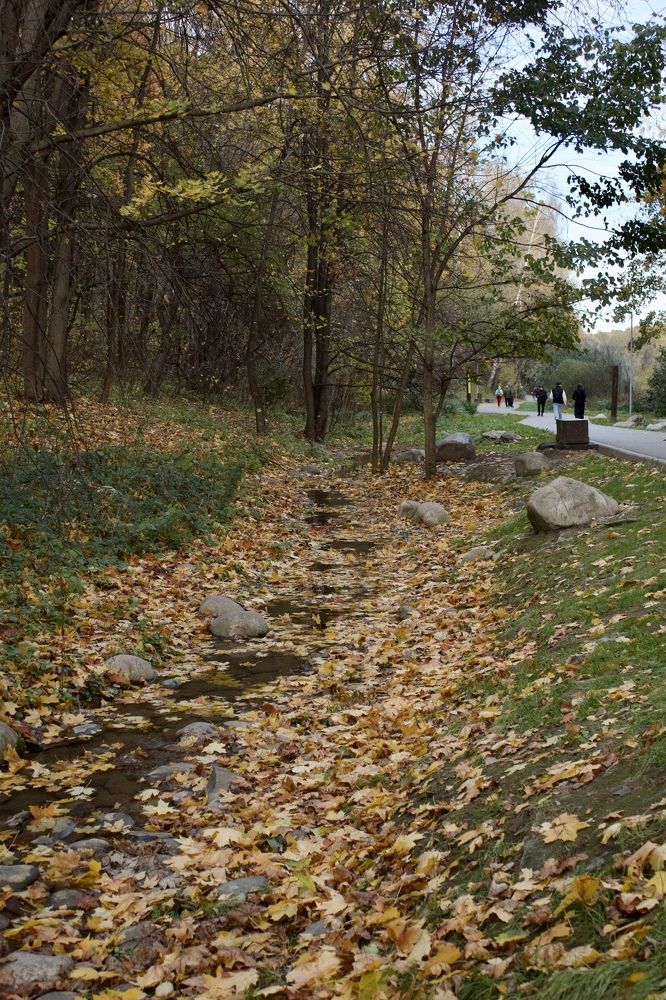 Photograph by Лариса Белашова