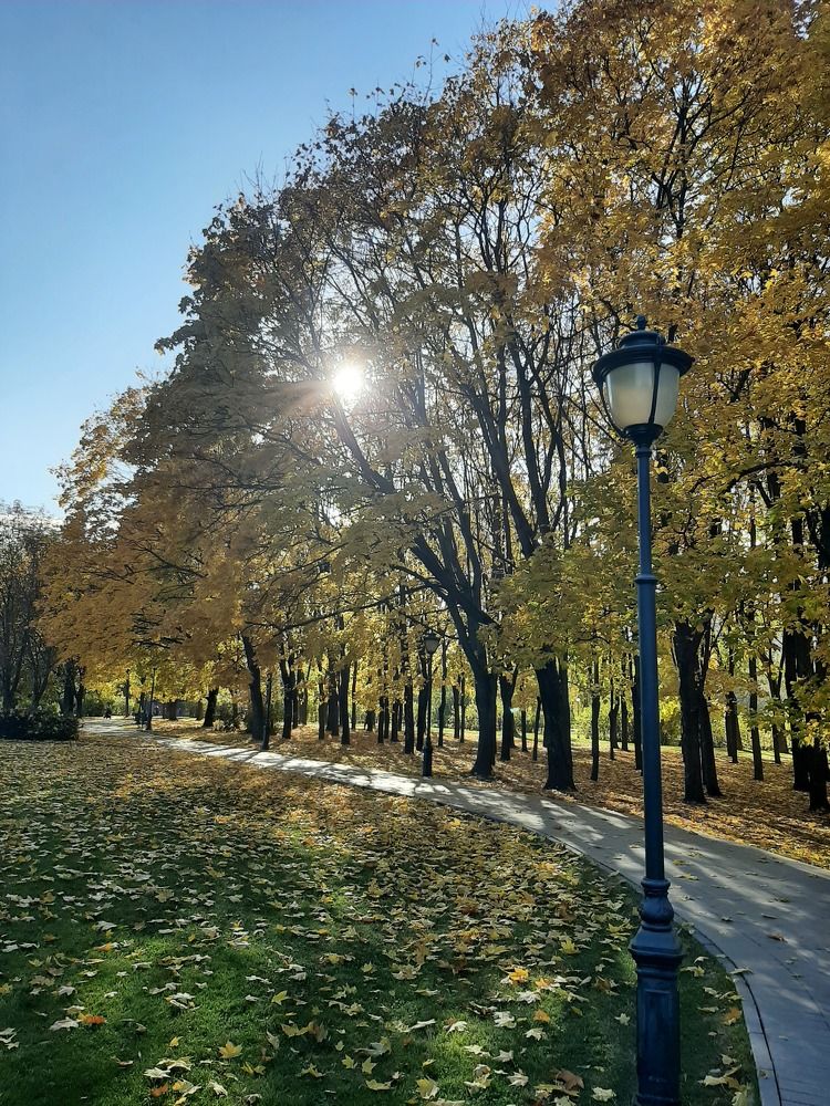 Photograph by Дарья Карпеева
