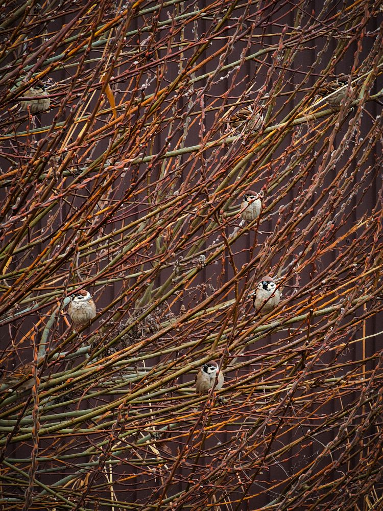 Photograph by Irina Chka