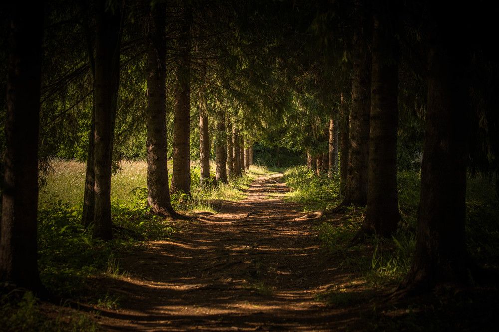 Photograph by Сергей Шпаков